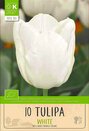 Tulip - Triumph White - image 1