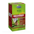 Viano RHS Recovery Box 4kg
