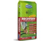 Viano RHS Recovery Organic Lawn Fertiliser 20kg - image 1