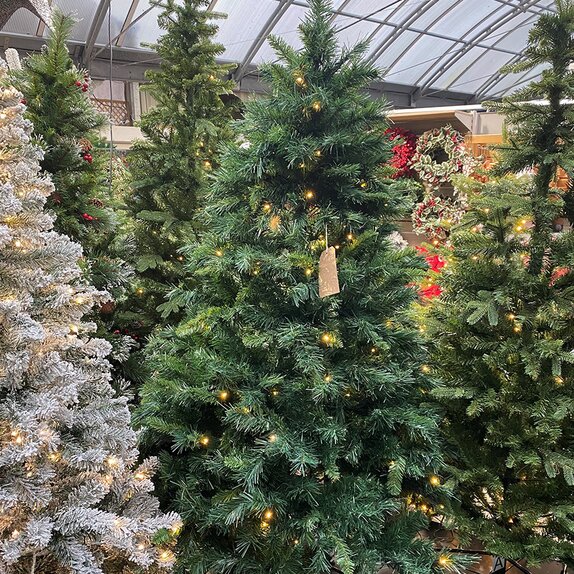 Victoria Pine Prelit 1.8m