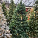 Victoria Pine Prelit 1.8m