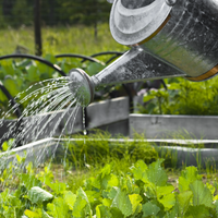 Watering