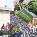 Watering Can Smart Garden Sage 1L - image 2
