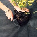 Weedban Landscape Fabric - image 1