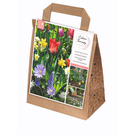 Well-Being Collection - Colour Therapy
