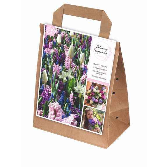Well-Being Collection - Relaxing Fragrances