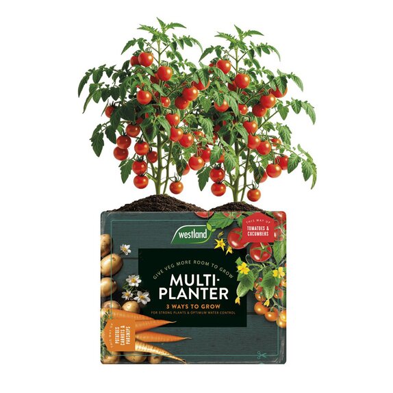 Westland Multi-Planter Peat Free - image 3