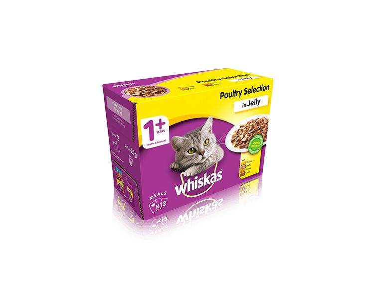 Whiskas 1+ Mixed Selection Cans (12x100g)