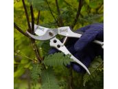 Wilkinson Deluxe Bypass Pruner - image 2