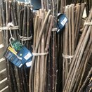 Willow Plant Sticks 90cm 20pk