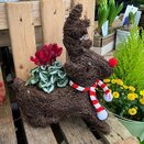 Winter basket or animal - image 1