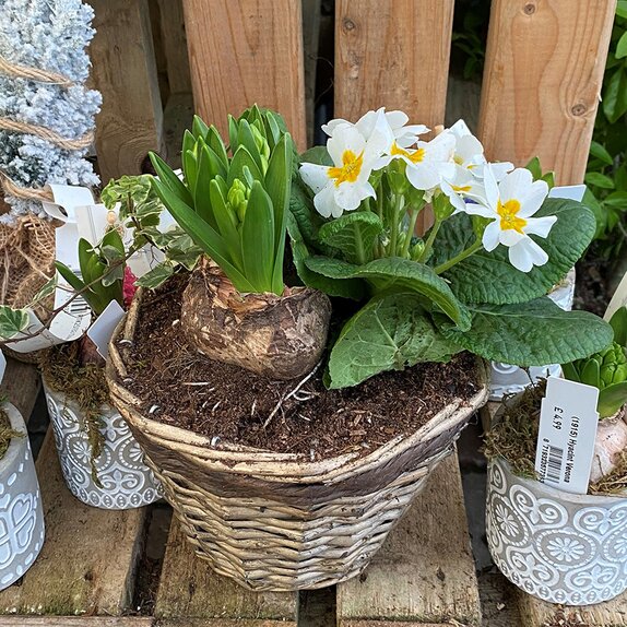 Winter basket or animal - image 2