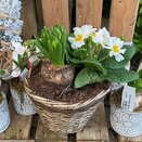 Winter basket or animal - image 2