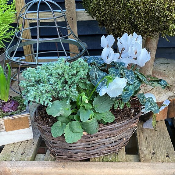 Winter Basket small - image 1