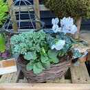 Winter Basket small - image 1