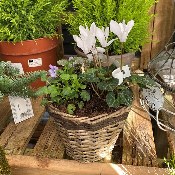 Winter Basket small - image 3