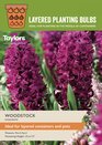 Woodstock Hyacinth