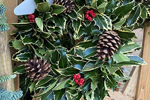 Fresh Wreaths