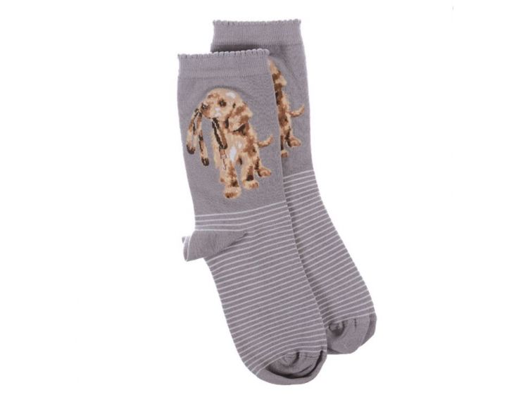 Wrendale Dog Sock - Hopeful