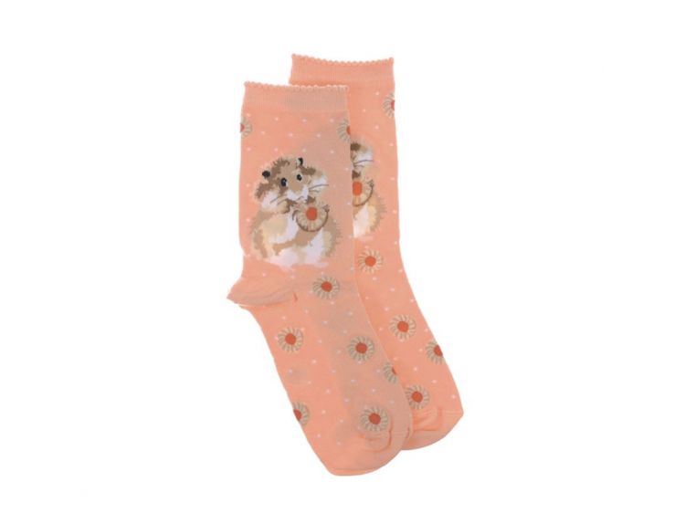 Wrendale Hamster Sock - Diet Starts Tomorrow