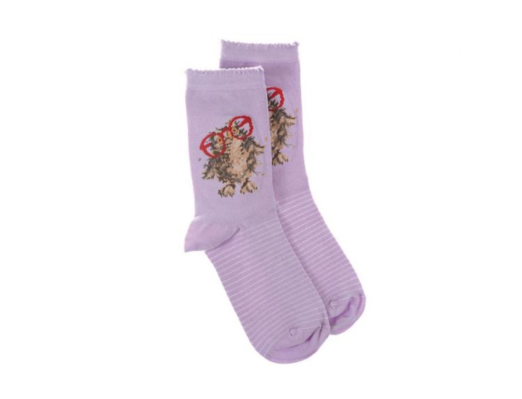 Wrendale Owl Sock - Spectacular