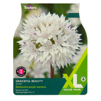 XL Value - Alliums