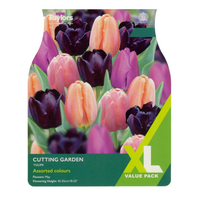 XL Value - Tulips