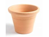 Yorkshire Harrogate Container